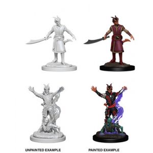 D&D Nolzur's Marvelous Miniatures: Male Tiefling Warlock-WZK73388