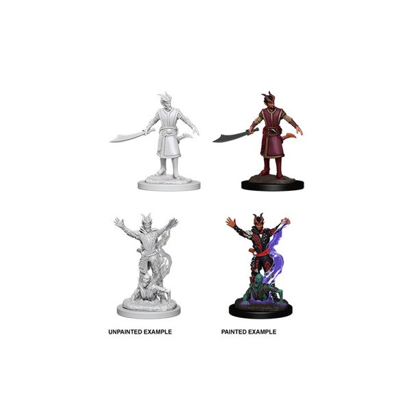 D&D Nolzur's Marvelous Miniatures: Male Tiefling Warlock-WZK73388