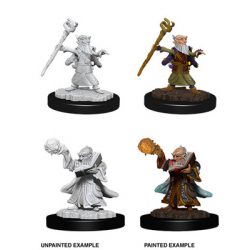 D&D Nolzur's Marvelous Miniatures: Male Gnome Wizard-WZK73382