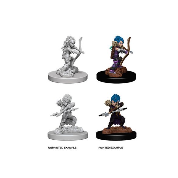 Pathfinder Battles Deep Cuts Unpainted Miniatures - Female Gnome Rogue-WZK73408
