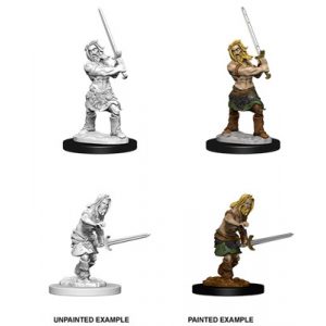 Pathfinder Battles Deep Cuts Unpainted Miniatures - Male Human Barbarian-WZK73413