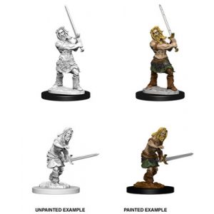 Pathfinder Battles Deep Cuts Unpainted Miniatures - Male Human Barbarian-WZK73413