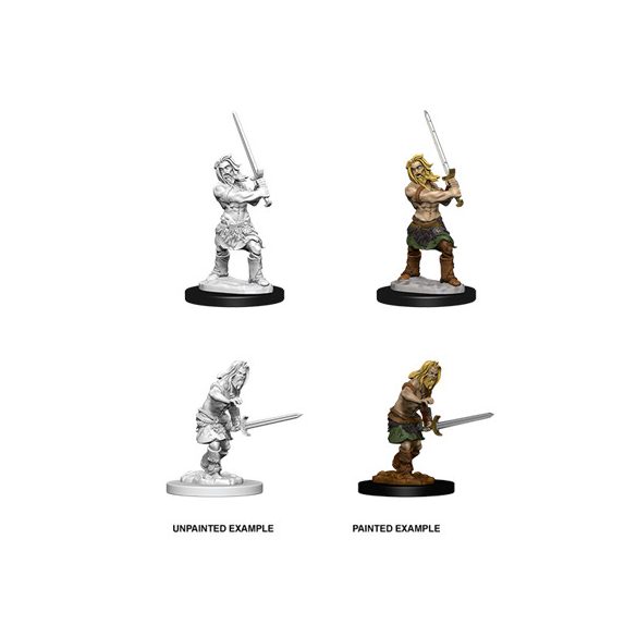 Pathfinder Battles Deep Cuts Unpainted Miniatures - Male Human Barbarian-WZK73413