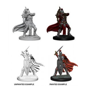 Pathfinder Battles Deep Cuts Unpainted Miniatures - Female Knights / Gray Maidens-WZK73425