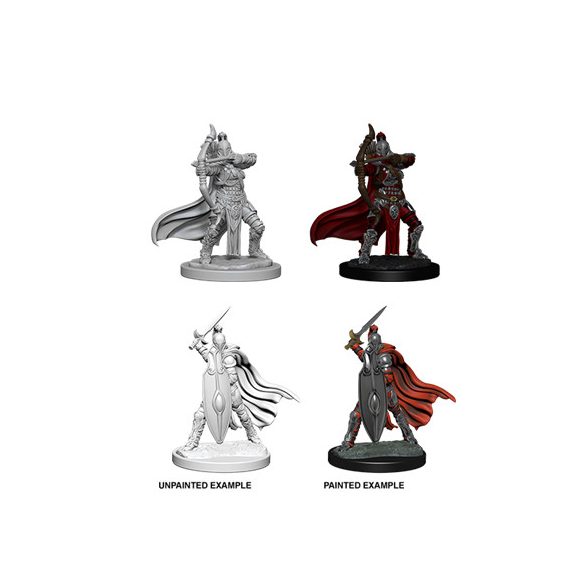 Pathfinder Battles Deep Cuts Unpainted Miniatures - Female Knights / Gray Maidens-WZK73425