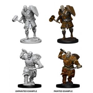 D&D Nolzur's Marvelous Miniatures - Male Goliath Fighter-WZK73541