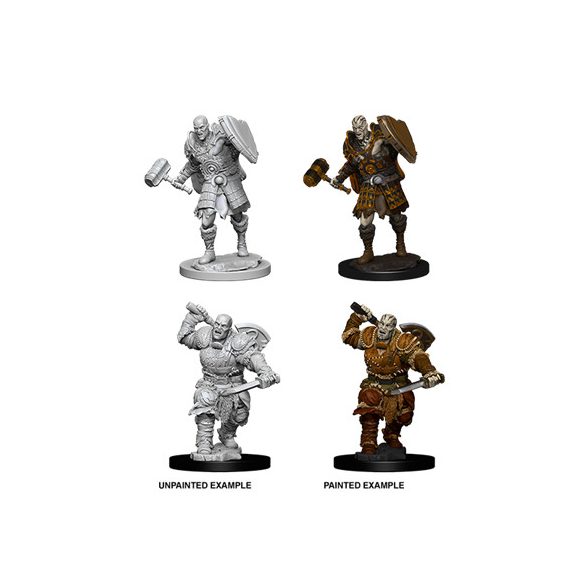 D&D Nolzur's Marvelous Miniatures - Male Goliath Fighter-WZK73541