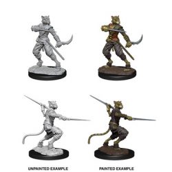 D&D Nolzur's Marvelous Miniatures - Male Tabaxi Rogue-WZK73540