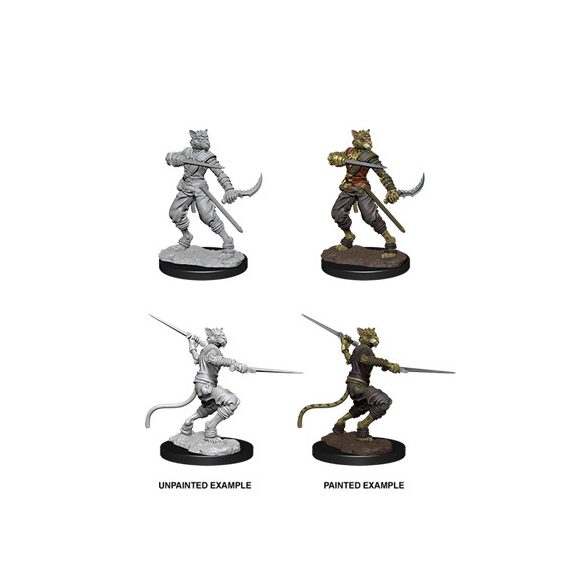 D&D Nolzur's Marvelous Miniatures - Male Tabaxi Rogue-WZK73540