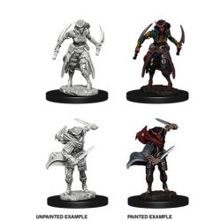 D&D Nolzur's Marvelous Miniatures - Tiefling Female Rogue-WZK73339