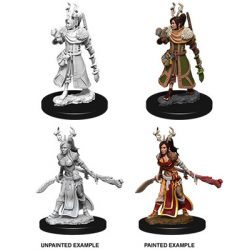 D&D Nolzur's Marvelous Miniatures - Female Human Druid-WZK73701