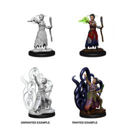 D&D Nolzur's Marvelous Miniatures - Female Human Warlock-WZK73837