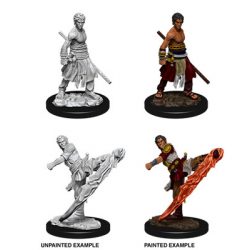 D&D Nolzur's Marvelous Miniatures - Male Half-Elf Monk-WZK73838