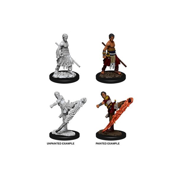 D&D Nolzur’s Marvelous Miniatures: Male Half-Elf Monk - EN-WZK73838