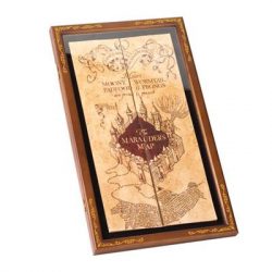 Harry Potter - Marauder's Map - Display Case-NN7882