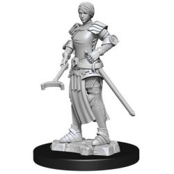 WizKids Deep Cuts Unpainted Miniatures - Towns People: Castle II-WZK90121