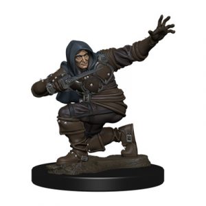 Pathfinder Battles: Premium Painted Figure - Human Rogue Male - EN-WZK77500