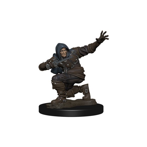 Pathfinder Battles: Premium Painted Figure - Human Rogue Male - EN-WZK77500