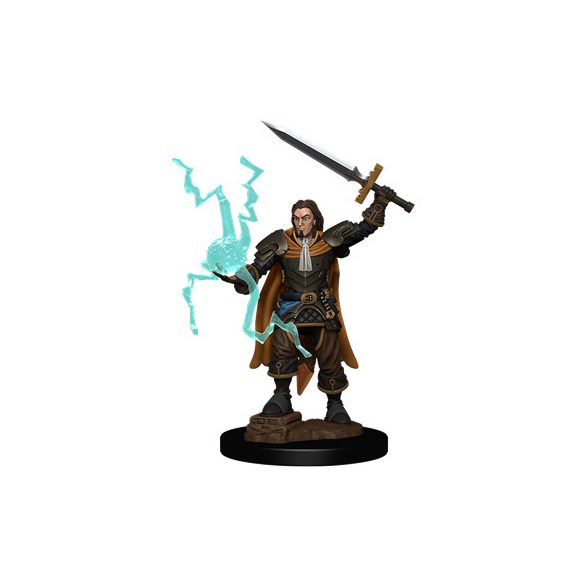 Pathfinder Battles: Premium Painted Figure - Human Cleric Male - EN-WZK77504
