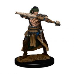 Pathfinder Battles: Premium Painted Figure - Half-Elf Ranger Male - EN-WZK77505