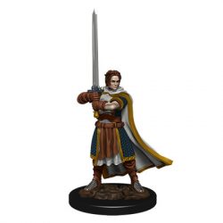 D&D Icons of the Realms: Premium Painted Figure - Human Cleric Male-WZK93023