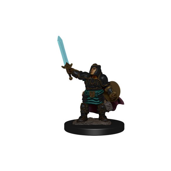 D&D Icons of the Realms: Premium Painted Figure - Dwarf Paladin Female-WZK93027