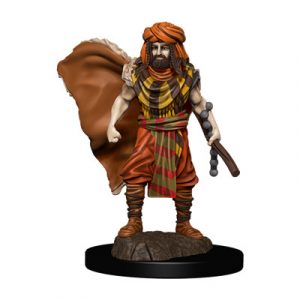 D&D Icons of the Realms: Premium Painted Figure - Human Druid Male-WZK93031