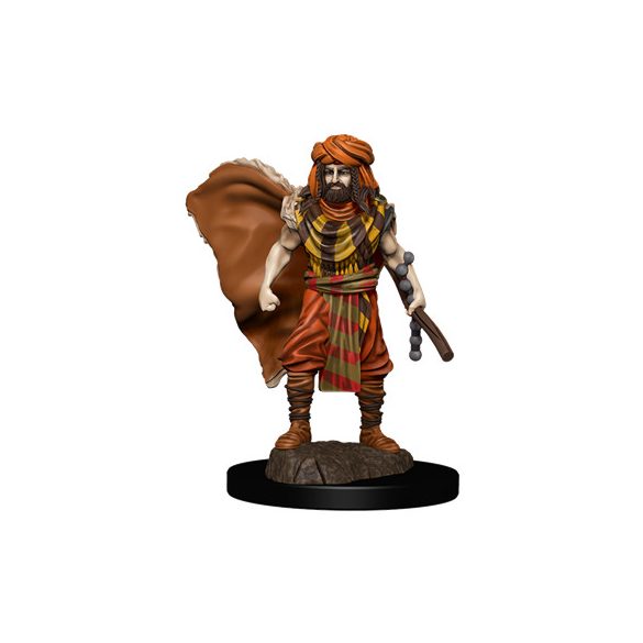 D&D Icons of the Realms: Premium Painted Figure - Human Druid Male-WZK93031