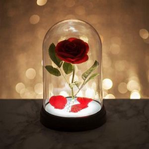 Enchanted Rose Light BDP V4-PP4344DPV4