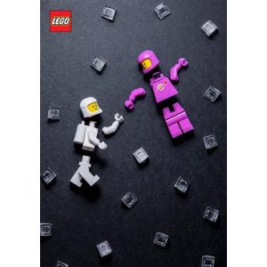 LEGO Minifigure Journal - EN-81998
