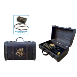 Pyramid Premium Gift Set - Harry Potter (Trouble Finds Me)-GP85536