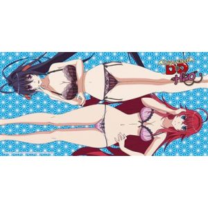 Highschool DXD Hero Beach Towel - Rias und Akeno 160x80cm-SAK12380