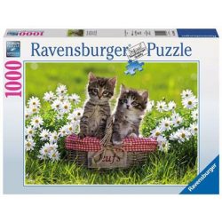 Ravensburger Puzzle - Picknick auf der Wiese - 1000pc-19480