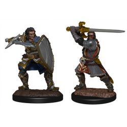 D&D Nolzur's Marvelous Miniatures: Human Paladin Male (2)-WZK90220