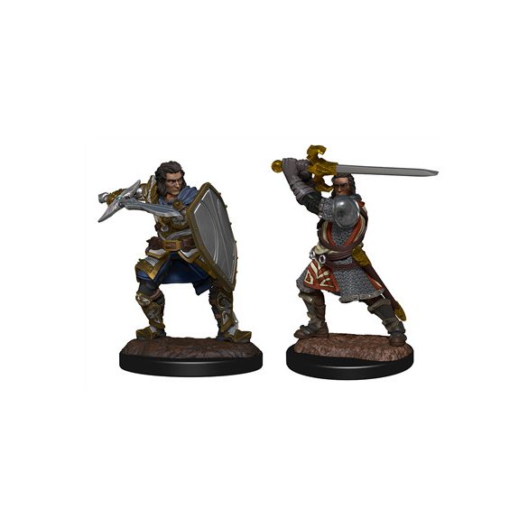 D&D Nolzur's Marvelous Miniatures: Human Paladin Male (2)-WZK90220