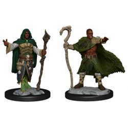 D&D Nolzur's Marvelous Miniatures: Human Druid Male-WZK90221