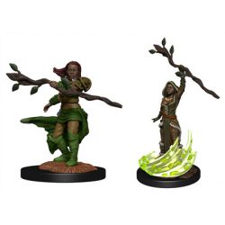 D&D Nolzur's Marvelous Miniatures: Human Druid Female-WZK90223