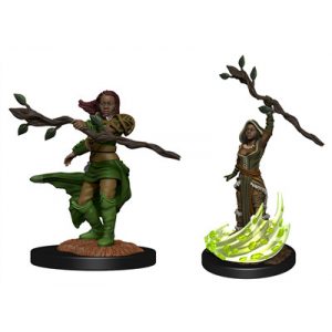 D&D Nolzur's Marvelous Miniatures: Human Druid Female-WZK90223