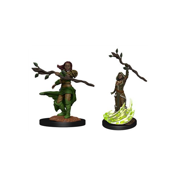 D&D Nolzur's Marvelous Miniatures: Human Druid Female-WZK90223