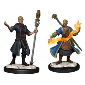 D&D Nolzur's Marvelous Miniatures: Half-Elf Wizard Male-WZK90229