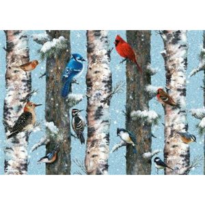 Puzzle: Wintervögel (1000 Teile)-PIA5514