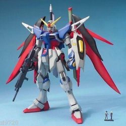 MG 1/100 DESTINY GUNDAM-83655P