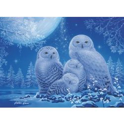 Ravensburger Puzzle - Eulen im Mondschein Starline 500pc-16595