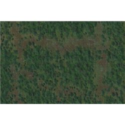 D&D Icons of the Realms: Forest Battle Mat-WZK96049