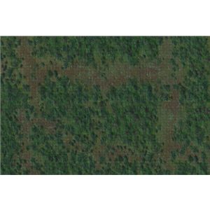 D&D Icons of the Realms: Forest Battle Mat-WZK96049