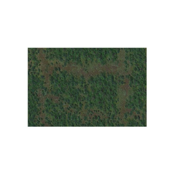 D&D Icons of the Realms: Forest Battle Mat-WZK96049