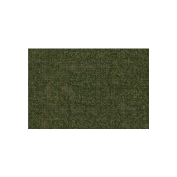 D&D Icons of the Realms: Grasslands Battle Mat-WZK96050