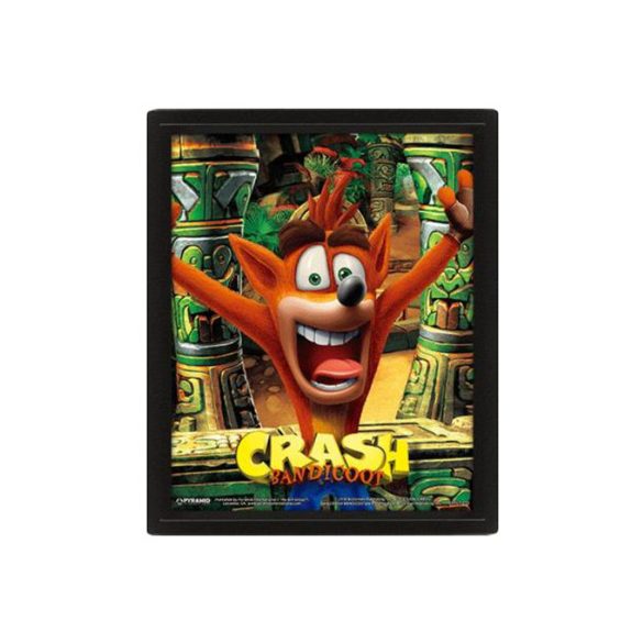 Crash Bandicoot (Mask Power Up) - Framed-EPPL71273