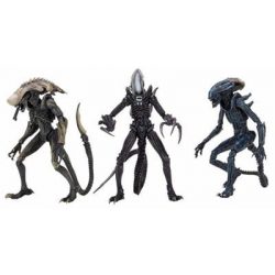 Alien vs Predator - 7" Scale Action Figure - Alien Assortment (Movie Deco) (14) Limited Edition-NECA51717