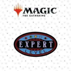 Magic the Gathering Expert Level Limited Edition Pin Badge-HAS-MAG03